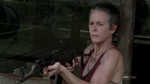 File:Thewalkingdeads03e01720.jpg