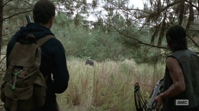 File:S5E13 35.jpg