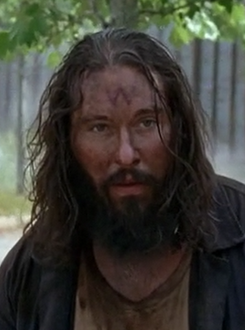 File:Long hair bearded wolf.png