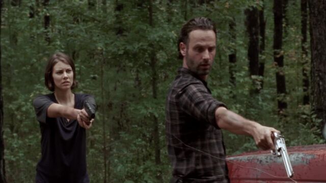 File:TWD 0814.jpg