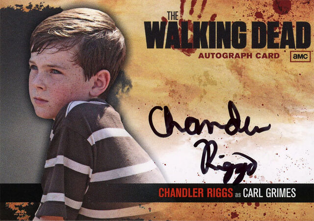 File:12 twd auto chandler1.jpg