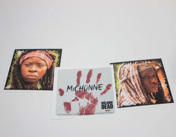 File:Michonne Character Cards 2.jpg