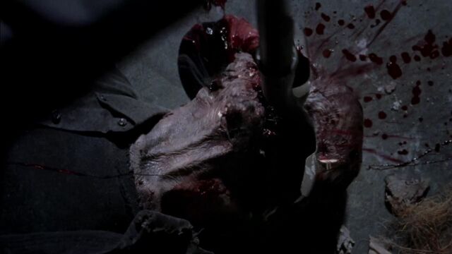 File:Twd314002271.jpg