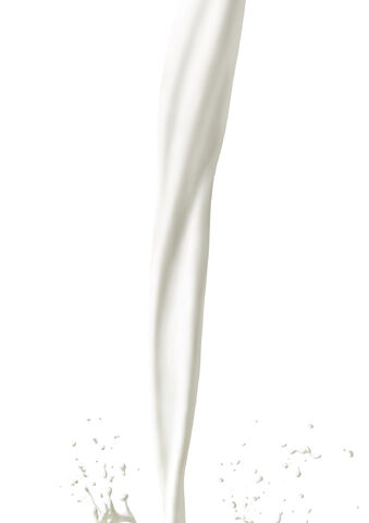 File:Lapte.jpg