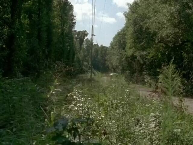File:SH TWD Images 001.jpeg