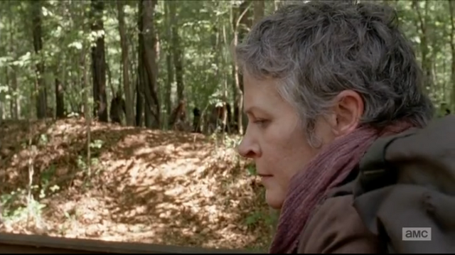 File:Walkerseverywhere.png