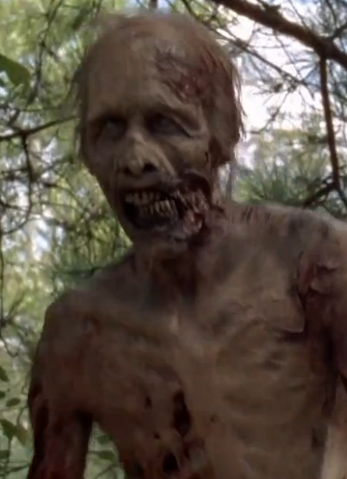 File:Walker 512.png
