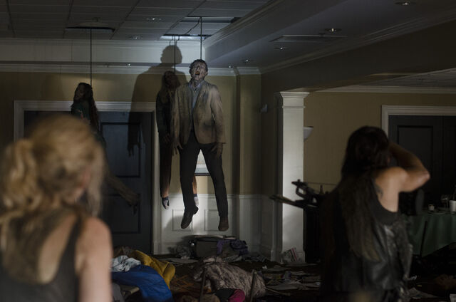 File:Hanging walkers in Still!.jpg