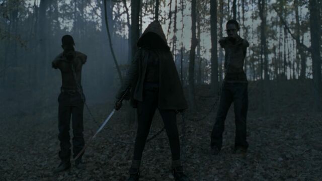 File:Michonne-Walking-Dead-Danai-Gurira-1024x576.jpg