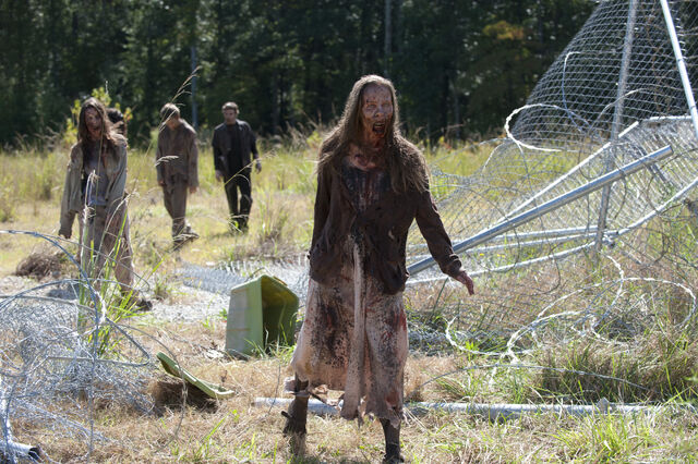 File:Fence Walkers Claimed.jpg
