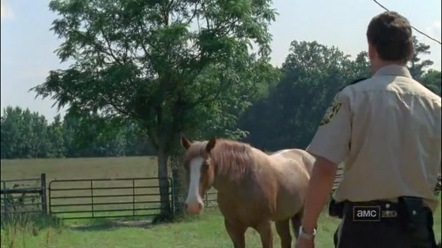 File:Horse and rick1.png