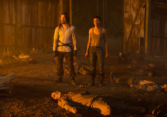 File:The-walking-dead-episode-705-sasha-martin-green-935.jpg