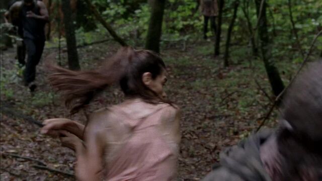 File:TWD 0099.jpg