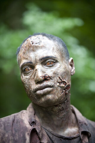 File:4X03Walker TWDFbpage.jpg