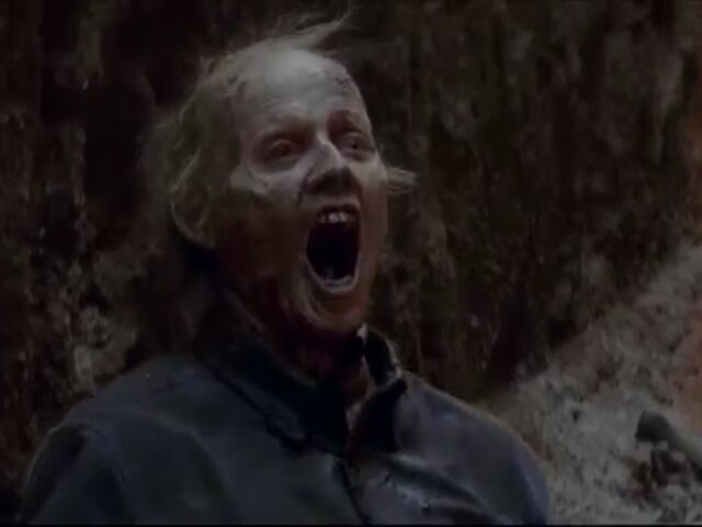 File:TWDBLR Images 016.jpeg