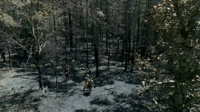 File:AMC 606 Woods.png