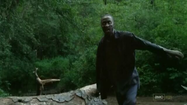 File:Daryl walker 2.jpg