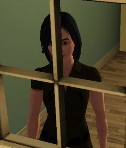 File:Unknownsim.jpg
