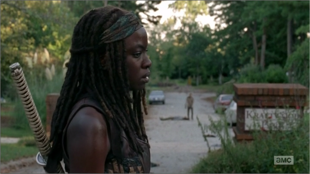 File:5x09 Michonne Overwhelmed.png