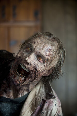 File:Walking-Dead-309-14.jpg
