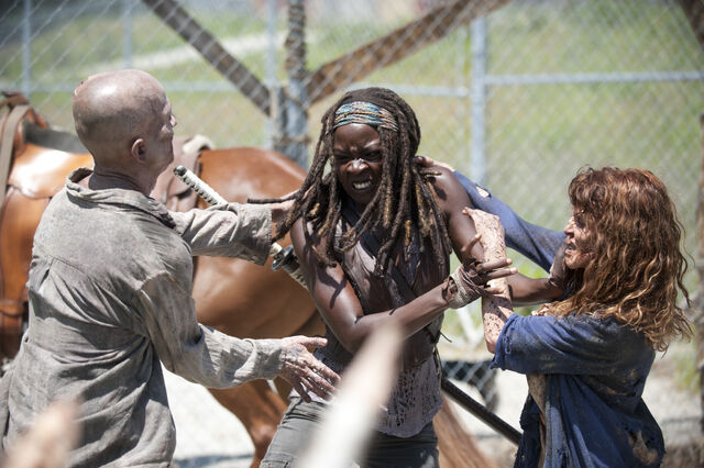 File:Michonne VS Walker.jpeg