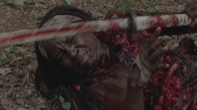 File:Twd306-001260.jpg
