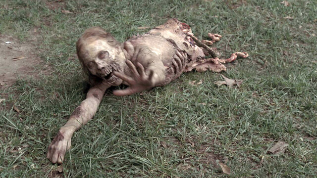 File:Walking dead bicycle.jpeg