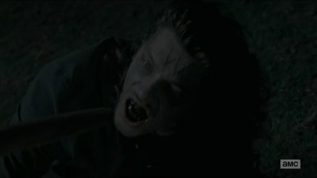 File:The wolf as a walker.png
