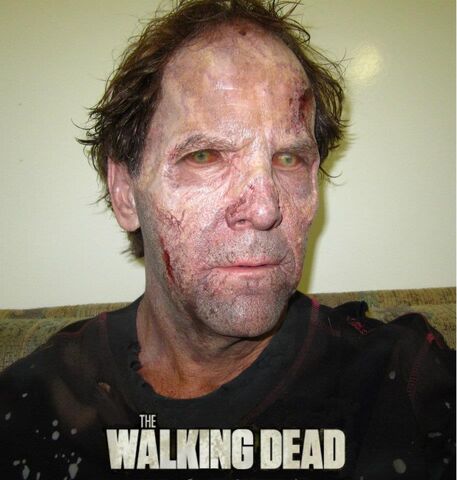 File:Walk dead.jpg