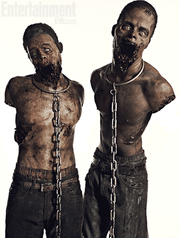 File:Miketerrytv.png