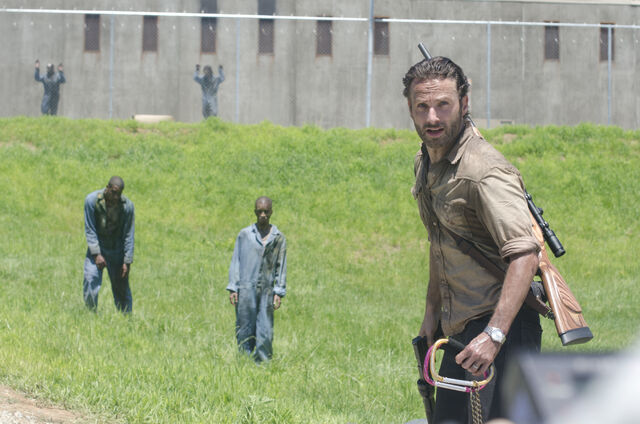 File:The walking dead 13487063737716.jpg