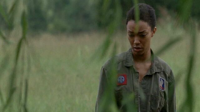 File:Twd0509-2988.jpg