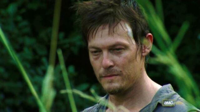 File:Daryl-D-daryl-dixon-27278976-720-404.jpg