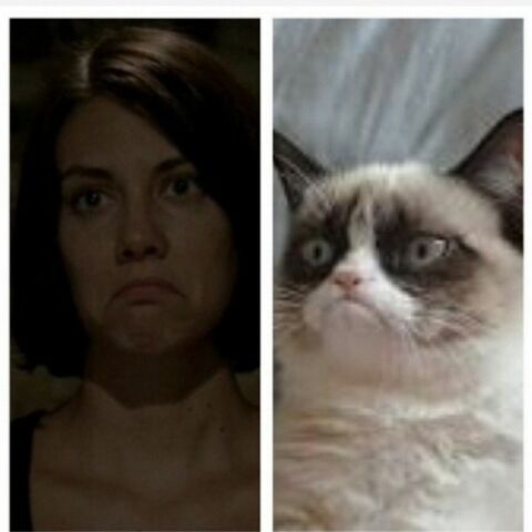 File:GRUMPYCAT.jpg