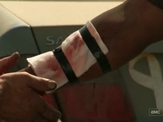 File:BL TWD Images 026.jpeg