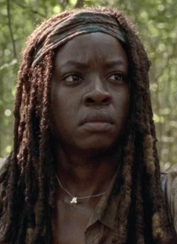 File:Michonne Strangers.png