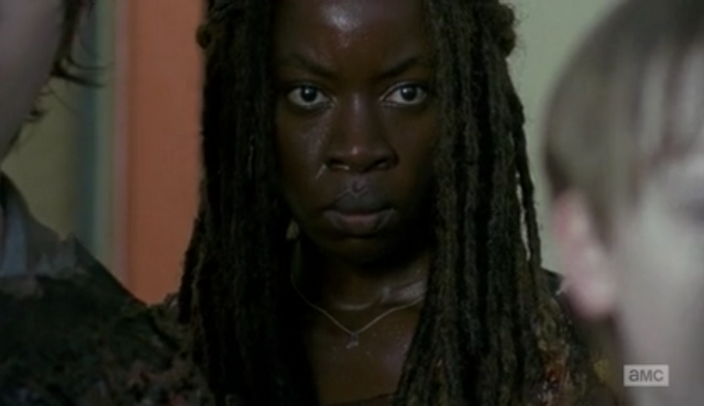 File:Michonne and the herd.png