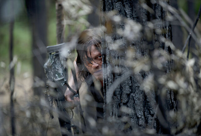 File:The-walking-dead-season-6-first-look-daryl-reedus-935-1.jpg