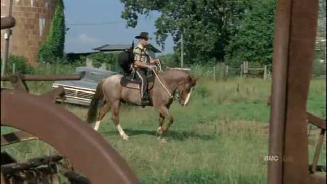 File:Horse and rick6.png
