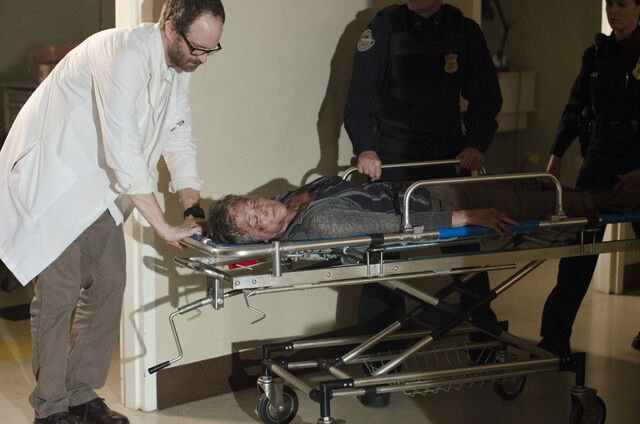 File:Carolonastretcher.jpg