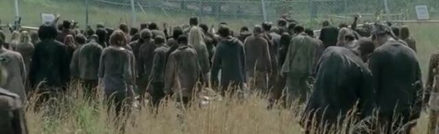 File:TWDBLR Images 047.jpeg