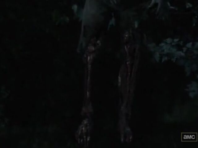 File:STLO TWD Images 046.jpeg