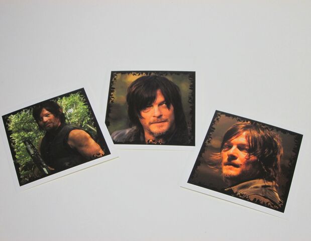 File:Daryl Dixon Character Cards.jpg