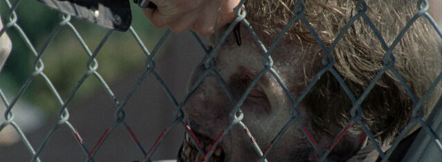 File:Walkerstab.jpg