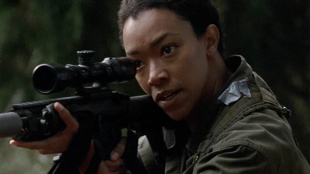 File:513 Sasha Shoots Again.jpg