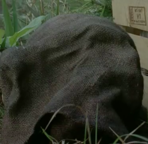 File:Eddie (TV Series).png