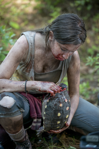 File:AMC 602 Enid Eating Tortoise.png