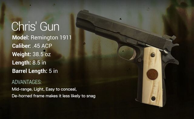 File:Chris' Gun.jpg