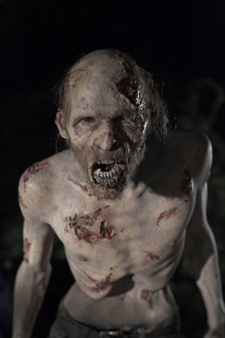 File:04 walker 2.png