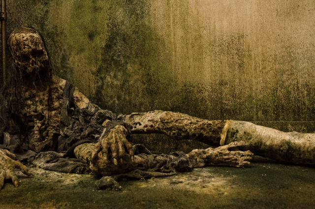 File:AMC 614 Decayed Walker.png